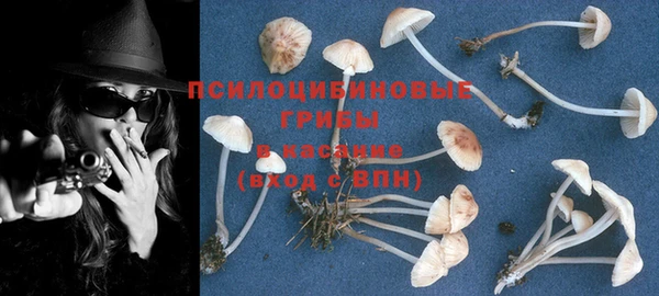 MDMA Белокуриха