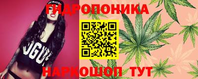 a pvp Азнакаево