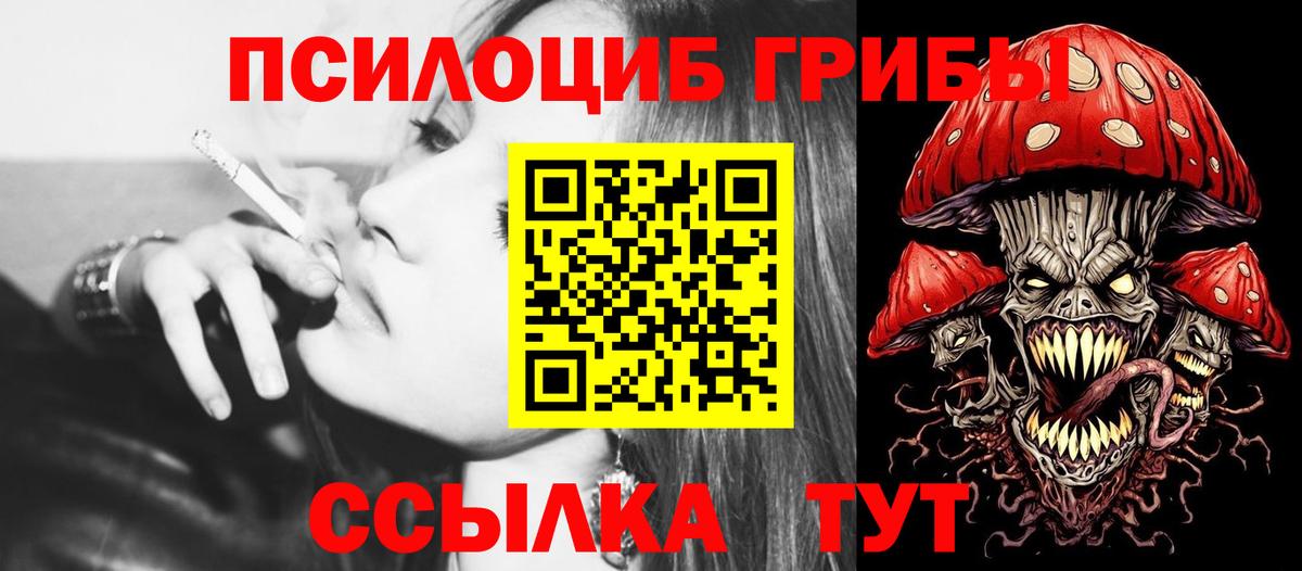 Псилоцибиновые грибы Cubensis Алексин