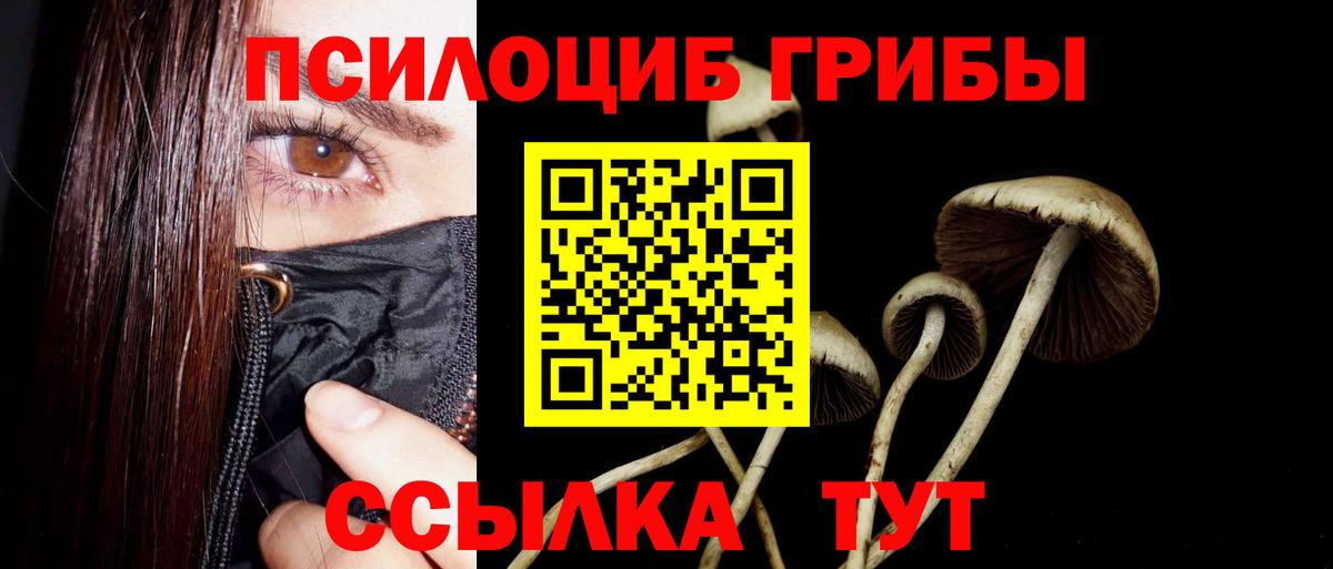 Галлюциногенные грибы Magic Shrooms  продажа наркотиков  Алексин  Галлюциногенные грибы мухоморы 