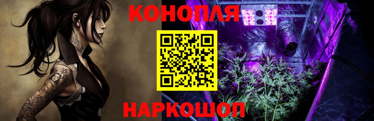 Конопля сатива  Бошки Шишки конопля  Канабис AK-47  Бошки марихуана семена  Алексин 